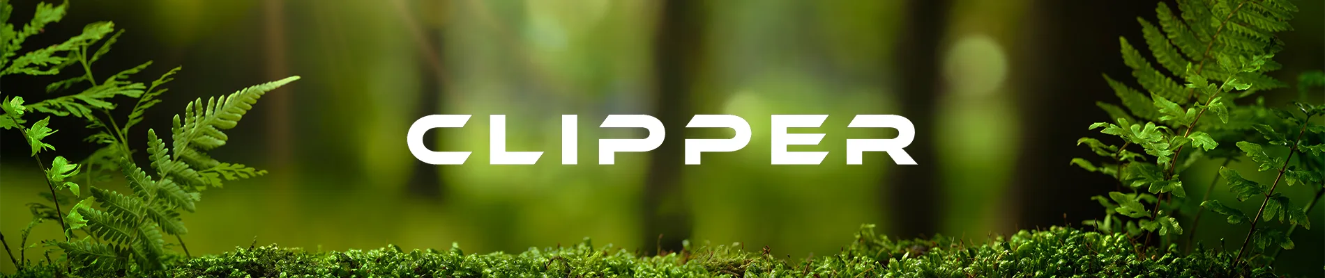 Clipper RVs